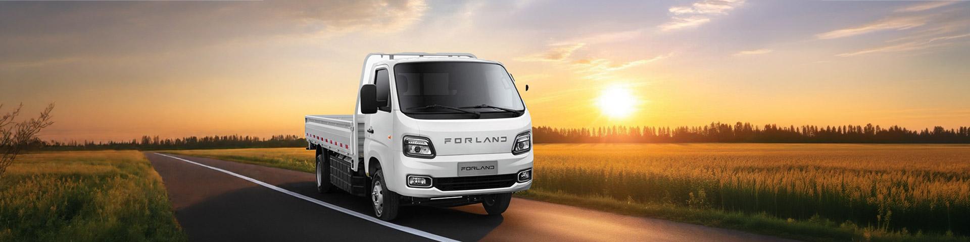 Forland T5